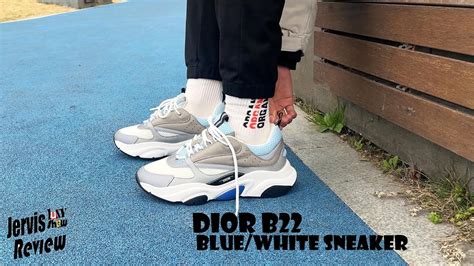 blue and white Dior b22